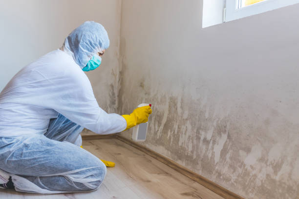 Commercial Mold Remediation assessment for commercial property in Nokomis